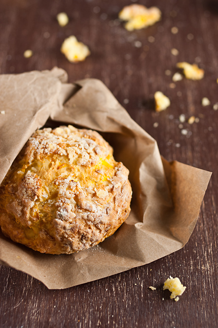 Pumpkin Parmesan Bread Rolls